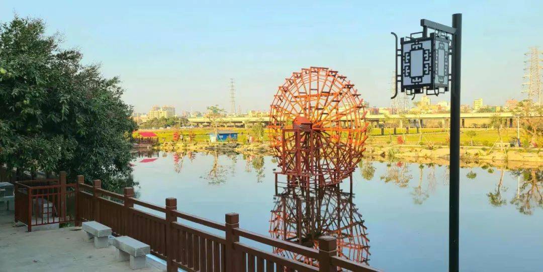 横沥葵香园葵花又又又开了融入更多乡村文化是时候又去一趟村头了