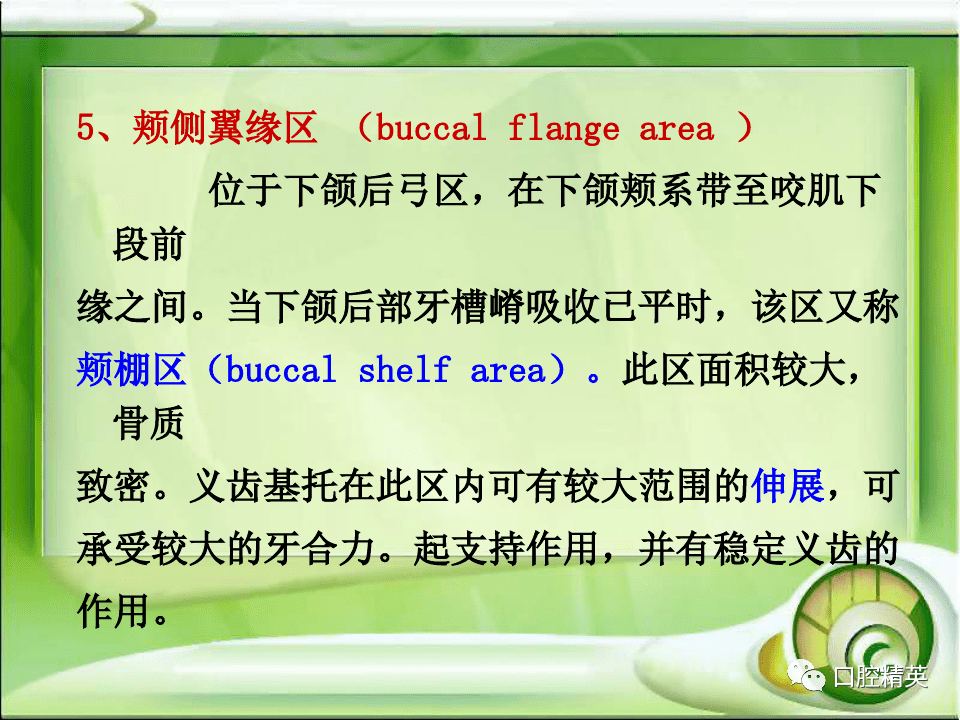 全口無牙頜解剖標誌識別