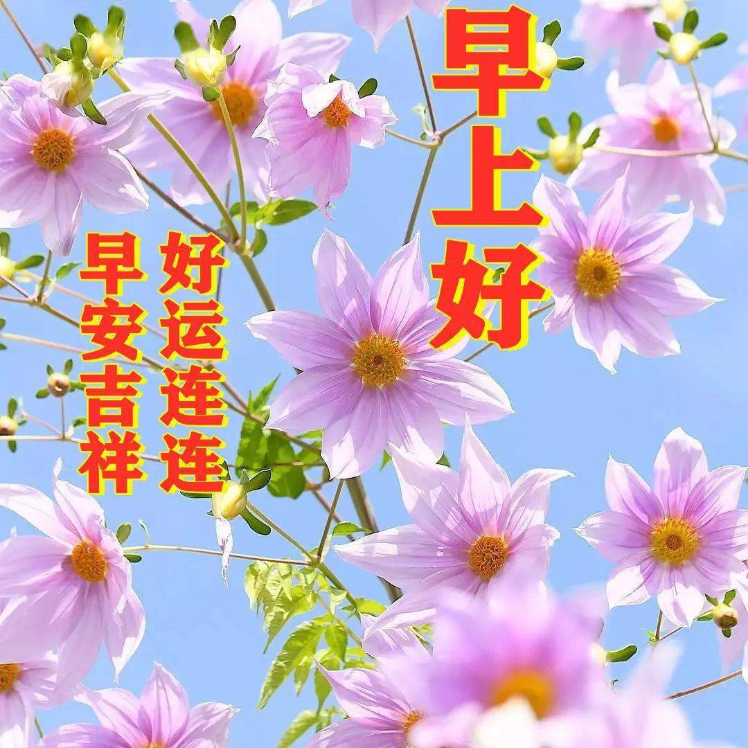 2021612617星期天早安30心语