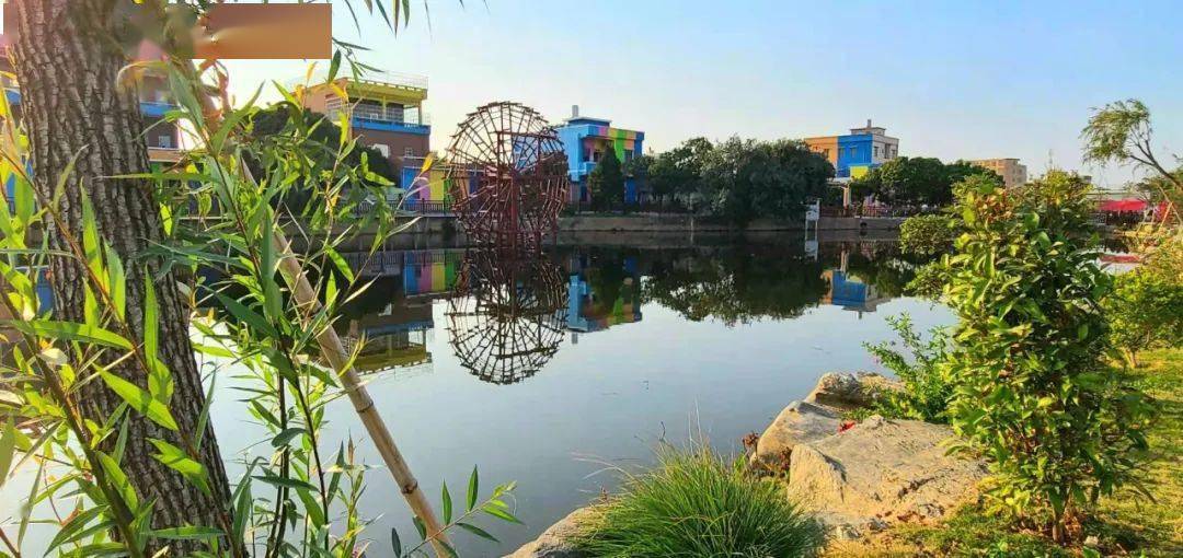 横沥葵香园葵花又又又开了融入更多乡村文化是时候又去一趟村头了