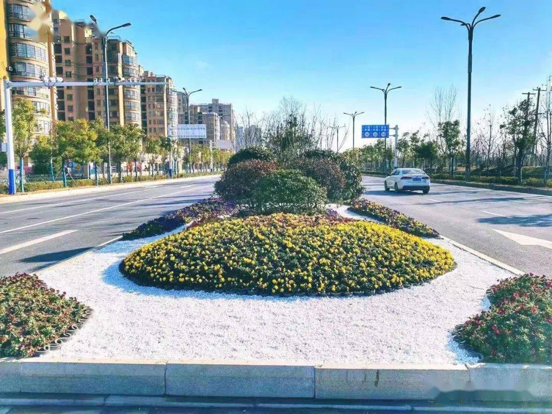 舒城街头城市景观大变样!