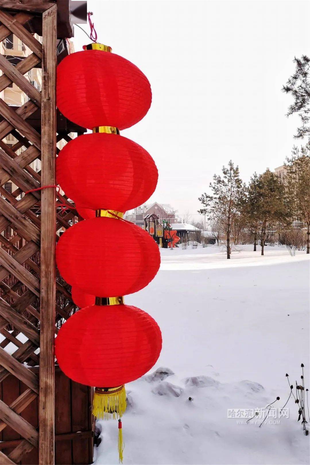 为冬奥会加油为新时代中国喝彩丨魅力冰雪摄影大赛集中展示火热来袭