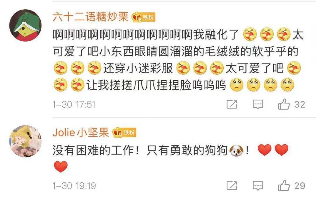 還記得那隻在雪地里被兵哥哥救了的小土狗「十八」嗎？現在它被寵上了天！ 萌趣萌寵 第31张