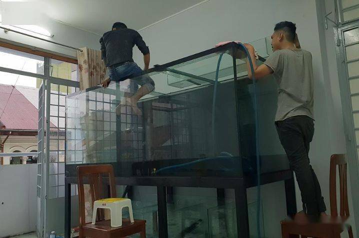 鱼友:颠覆了我的想象!_鱼缸