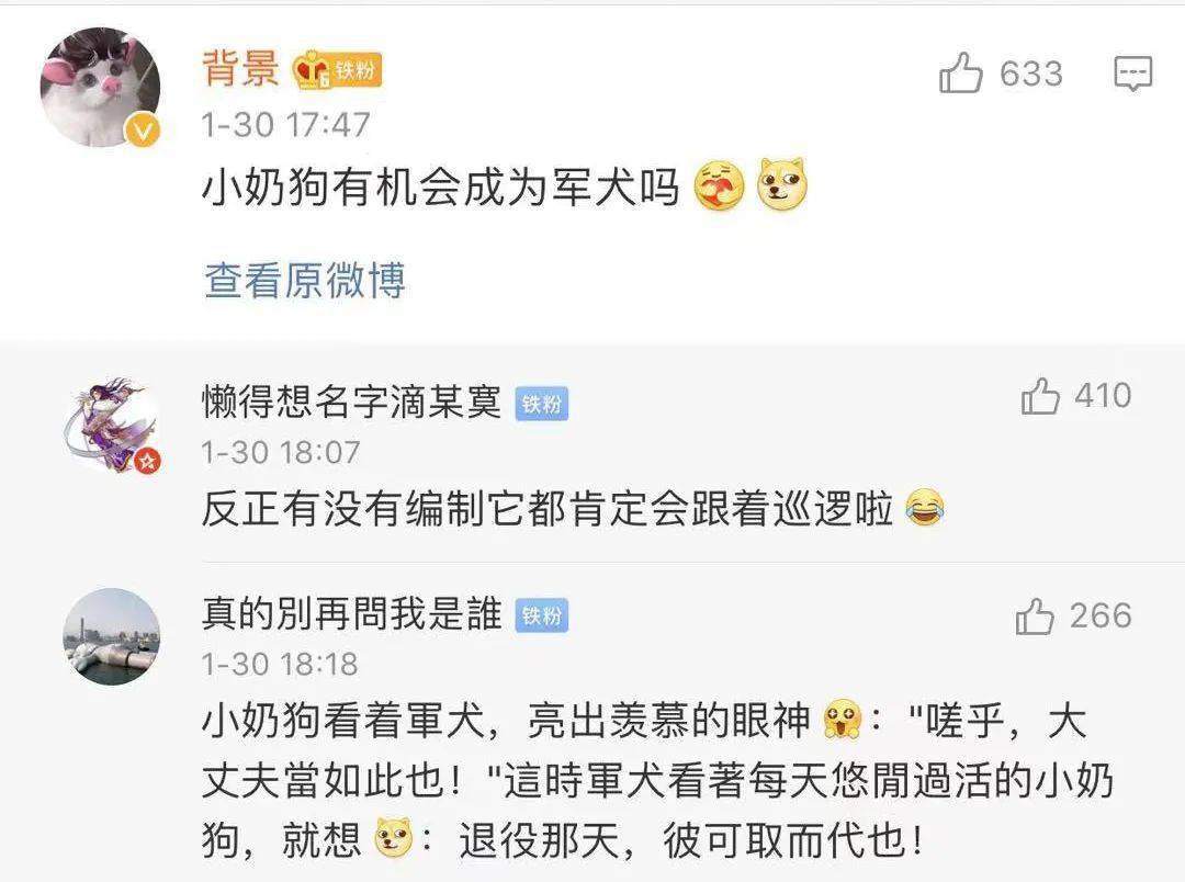 還記得那隻在雪地里被兵哥哥救了的小土狗「十八」嗎？現在它被寵上了天！ 萌趣萌寵 第30张
