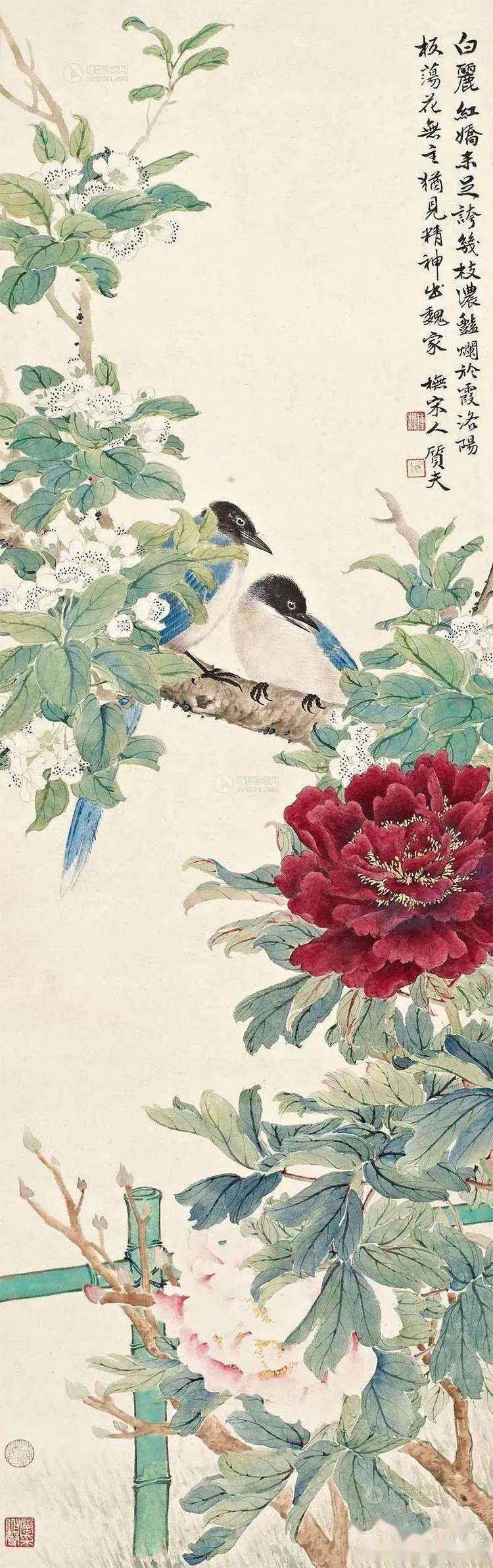 39幅名家花鸟双栖图清新淡雅