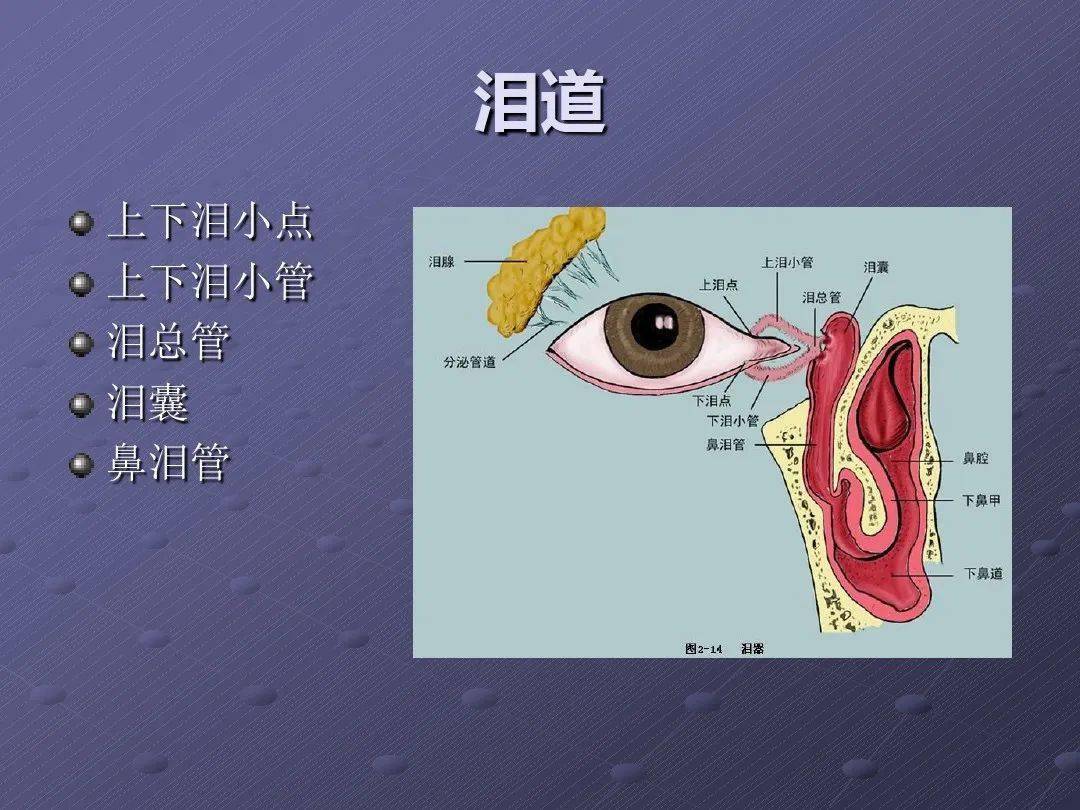 逆行泪道置管术后置管老化堵塞看微创内窥镜下鼻腔泪囊造孔术造福患者