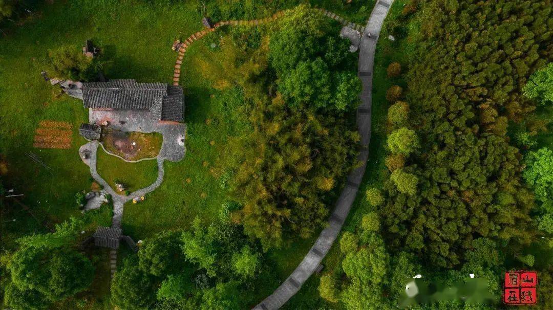 在眉山 有一道美丽竹林风景线 发展 在眉山 有一道美丽竹林风景线 发展