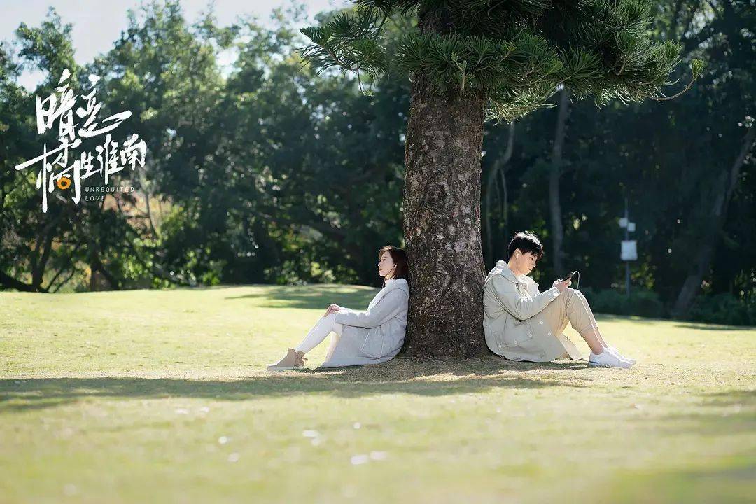 6767盛淮南喜欢洛枳