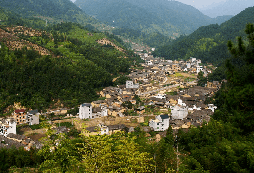 奏响高质量绿色发展丰收歌 ——2020年丽水农业农村工作续写辉煌