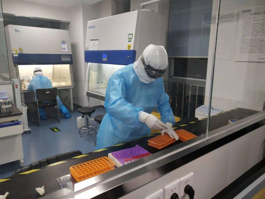 喜讯呼和浩特迪安被呼和浩特市卫健委指定为新冠核酸检测平行实验室