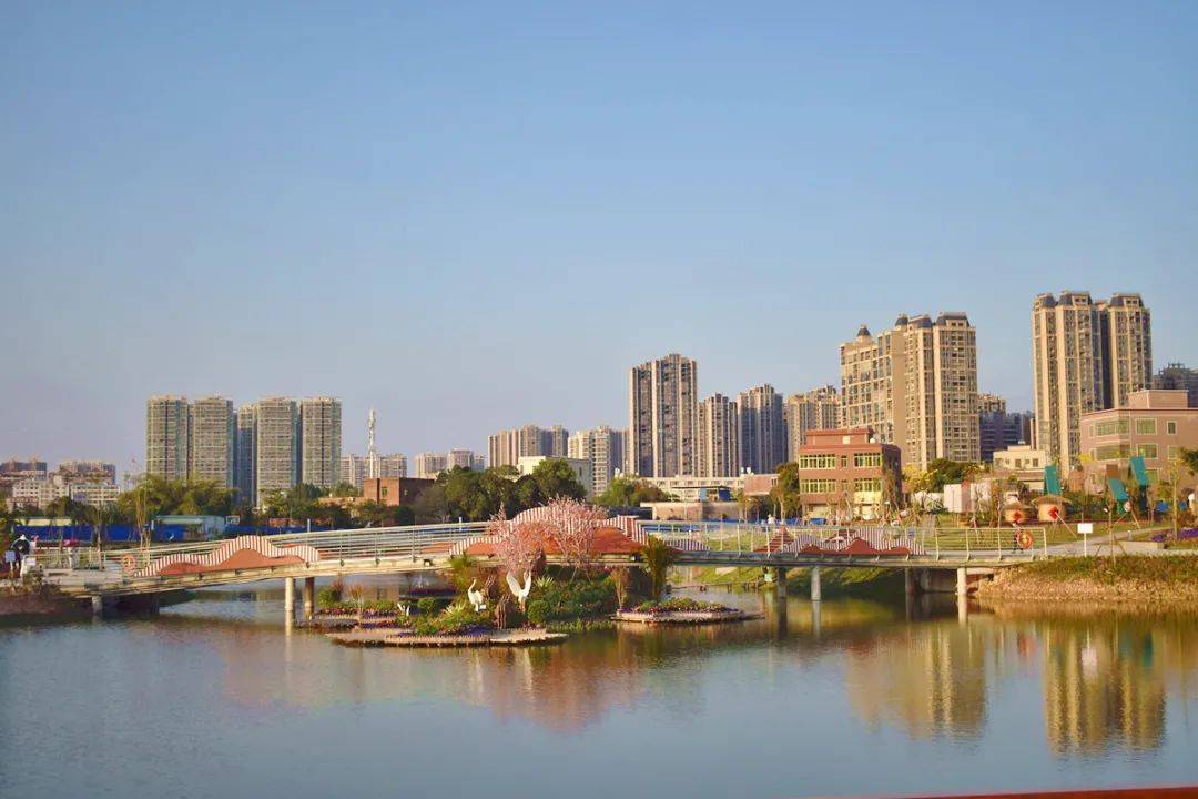 站南公园对外开放啦一场灯和花的盛宴正在上演