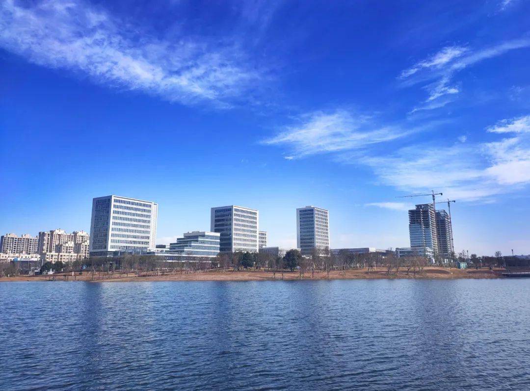 2020年赣江新区GDP_柳东新区2020年规划图