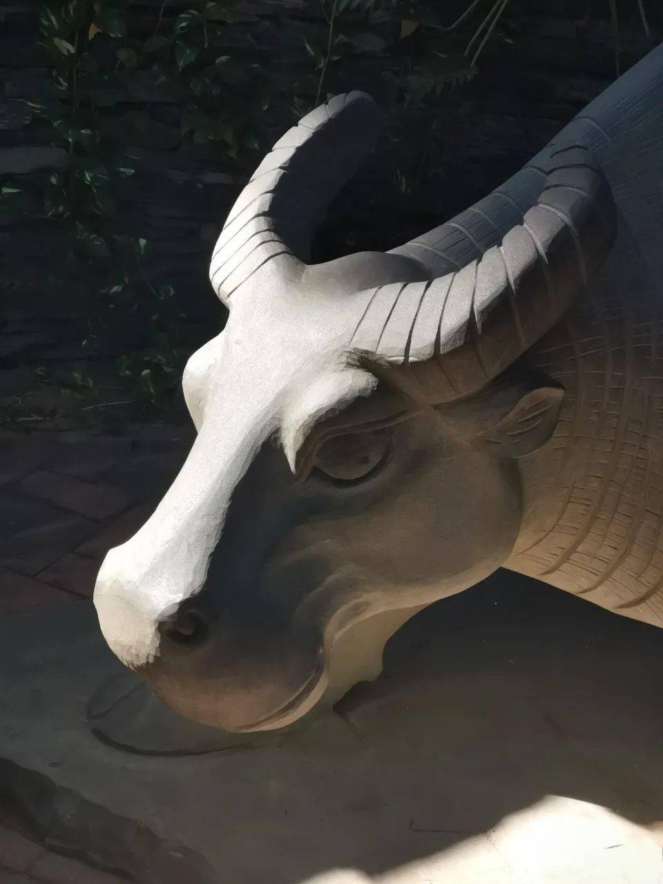 成都牛在哪_石牛