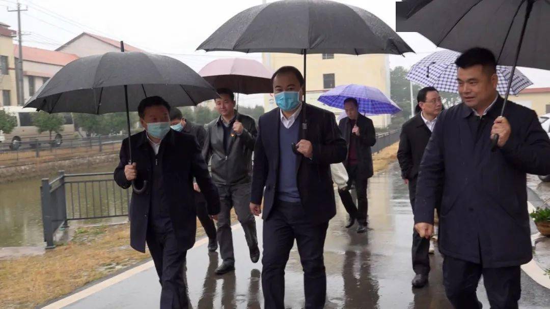 县领导蒋奇,李桦参加活动.记者