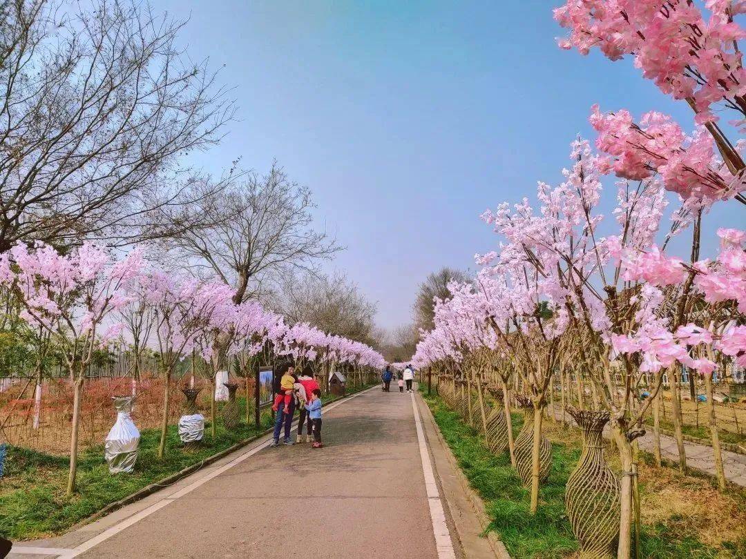 紫薇都市田园丨新春非遗民俗节,大年初一震撼上演!
