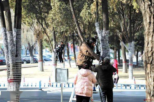 挂在树上的彩灯价格 d21b7280be7d4dbc9cf08c4d2efee34f.jpeg