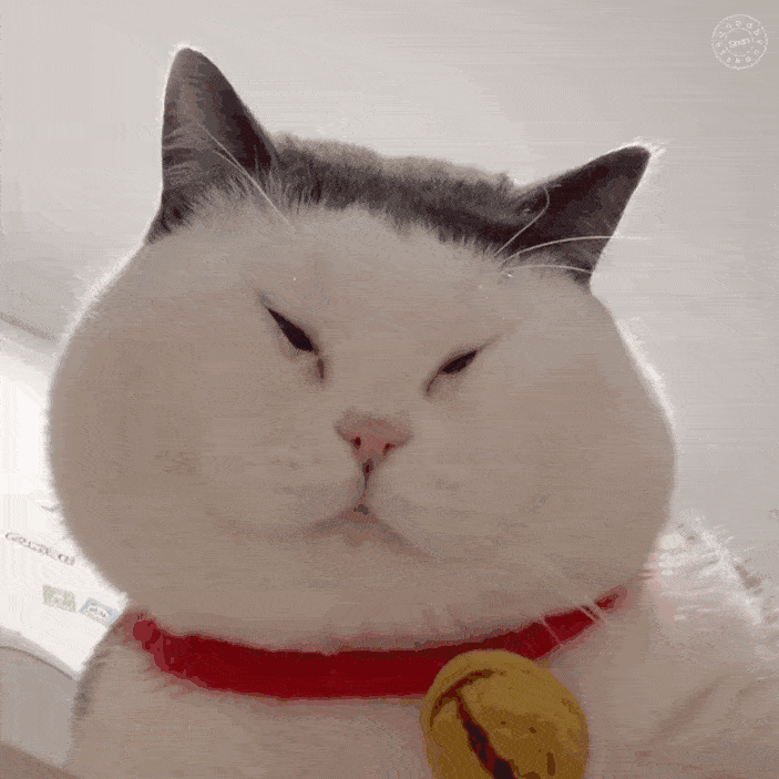 703_703gif 动态图 动图