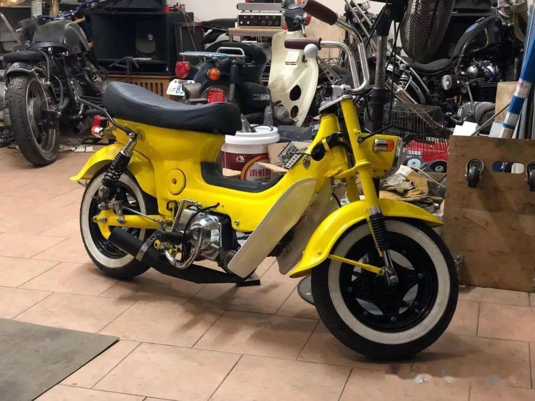 送女儿的金城小天使番瓜投稿