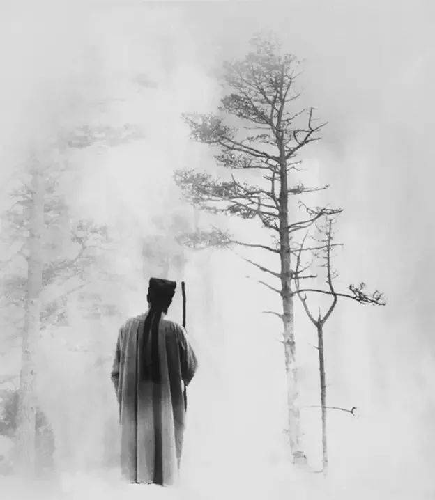 这水墨意境,美呆了