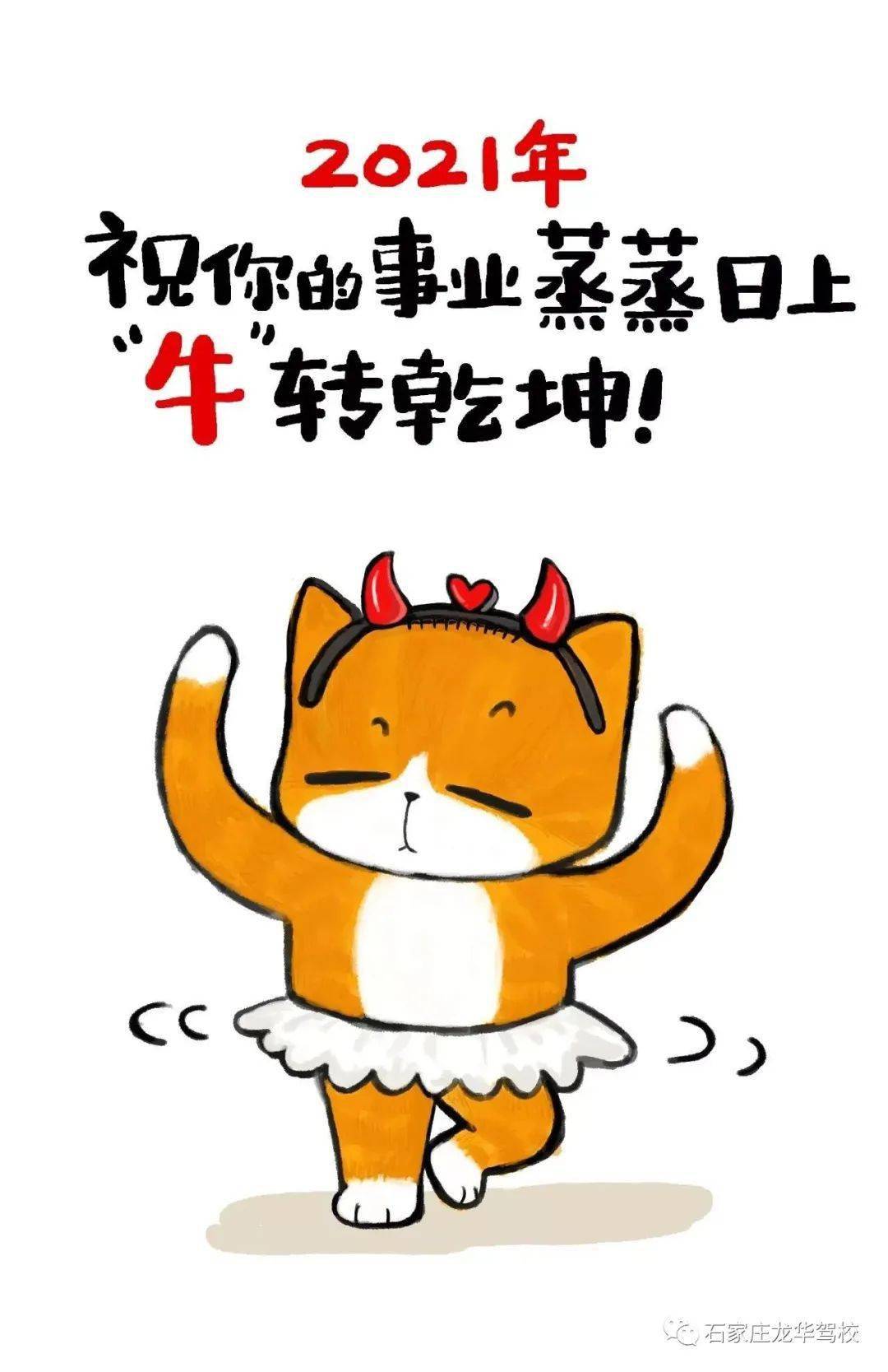 祝您牛转乾坤嗨皮牛耶