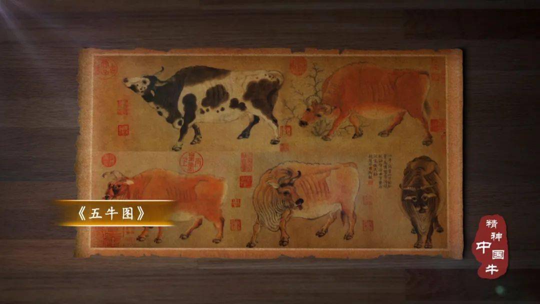 博物馆之夜 | 风采中国牛 如果牛牛会说话