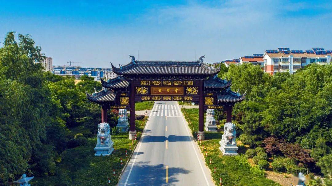 厉害了!宝应曹甸镇的总结报告