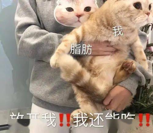 苍南人口外流_苍南女民警尸体图片(3)