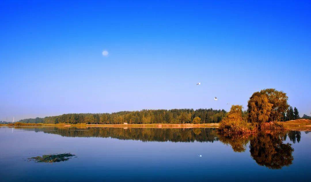 海岱神秀青未了 齐鲁大地处处春 山东"十三五"生态环境质量明显改善