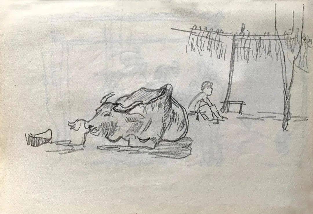 牛年读牛画 牛势冲天 Cm 牛年读牛画 牛势冲天 Cm