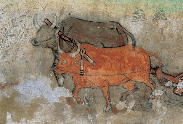 敦煌壁画中的牛图片