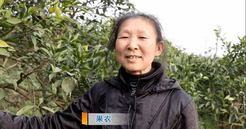 2021资中县人口_资中县地图(3)
