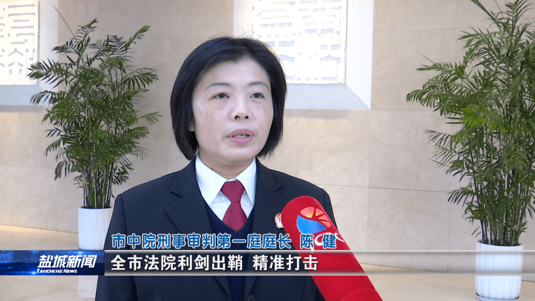 盐城中院刑事审判第一庭庭长 陈健:全市法院利剑出鞘,精准打击,切实把