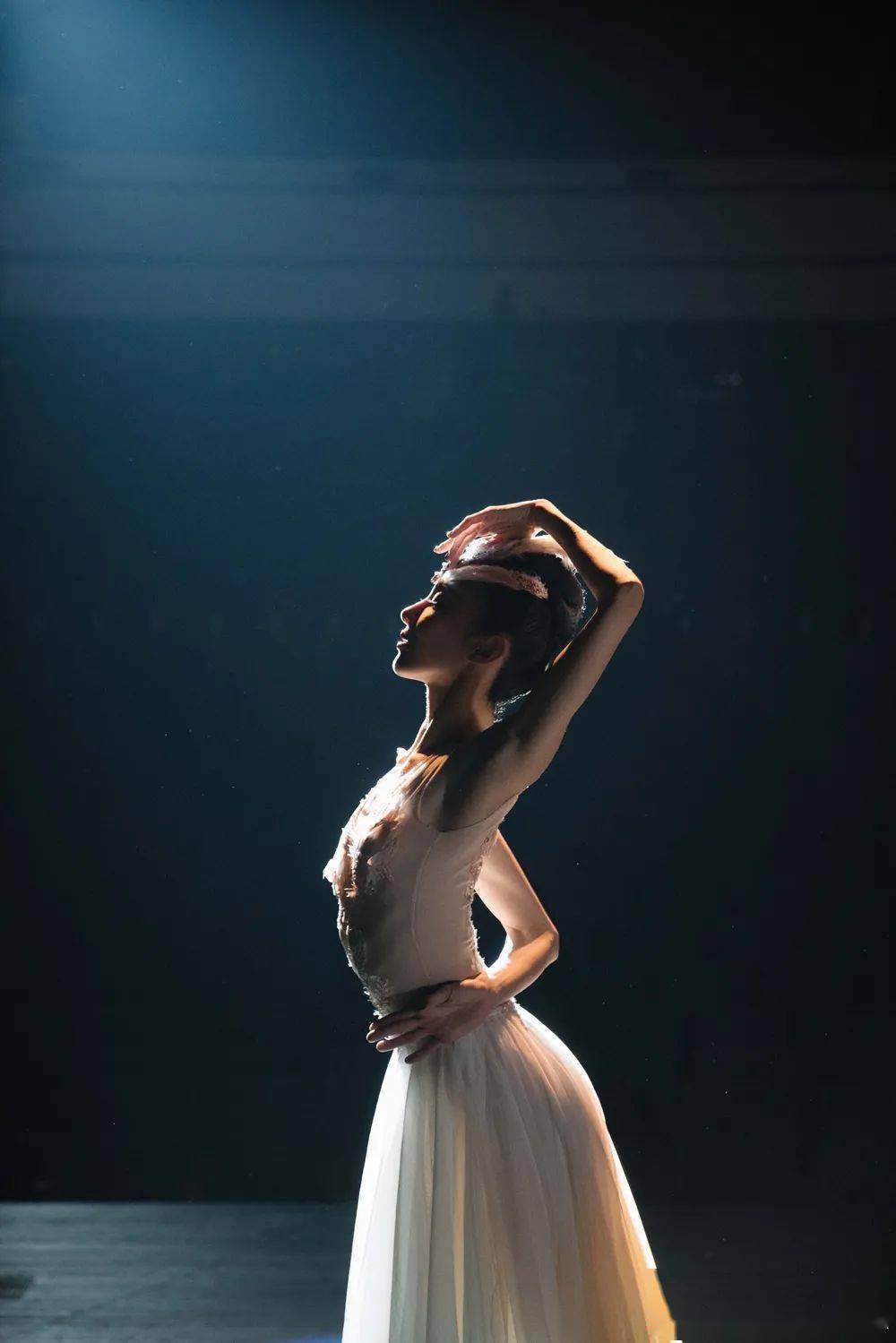 上海歌舞团的小仙女,也太好看了吧!《朱鹮》飞上春晚,网友:极度舒适