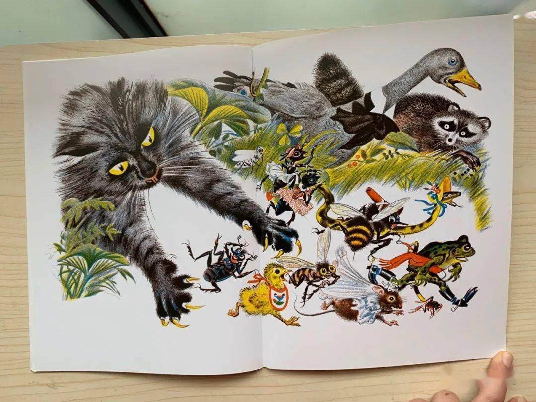 英文有声绘本frogwentacourtin青蛙娶亲记凯迪克金奖绘本