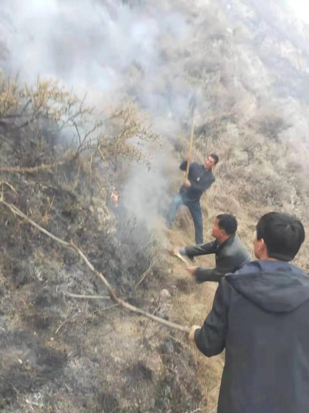 临夏州应急管理局迅速组织人员扑救积石山安集镇山火