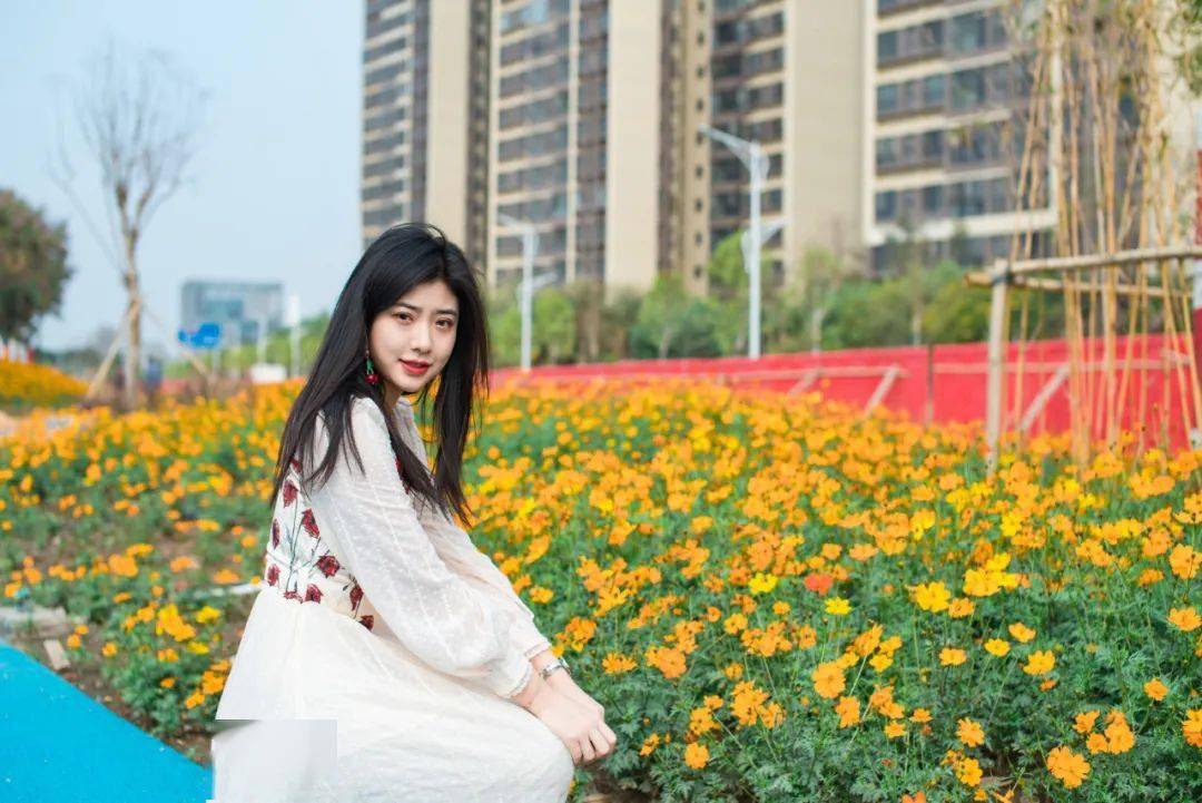 满城花开 南海春节赏花地图送上 约起 山茶花