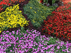 �˹�����֮���ѧϰ���ܽ��������������