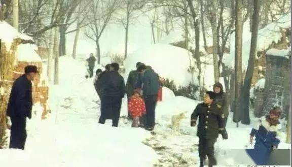 原平人口数_原平班村好透女人照片