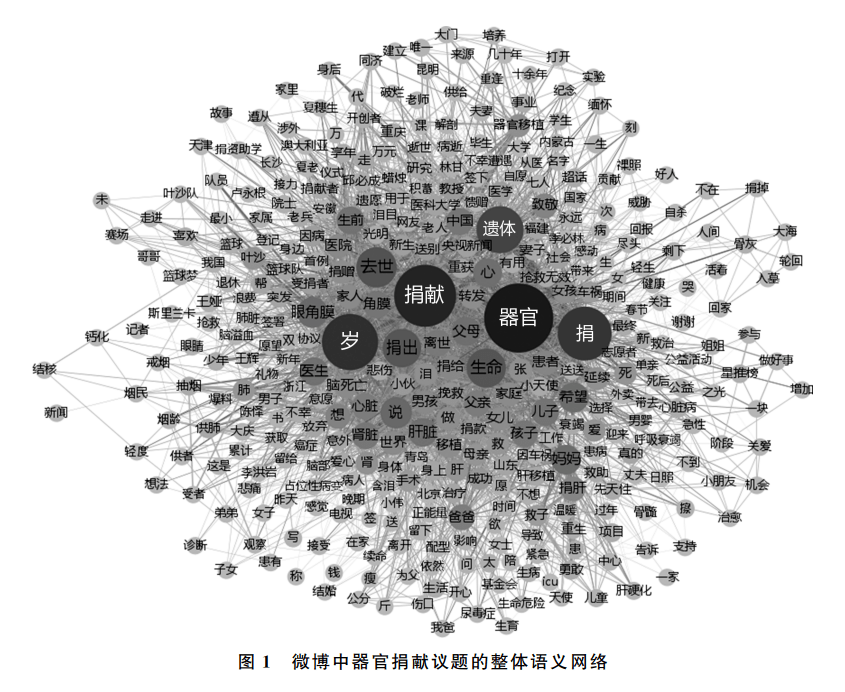 语义网络分析，语义网络分析软件