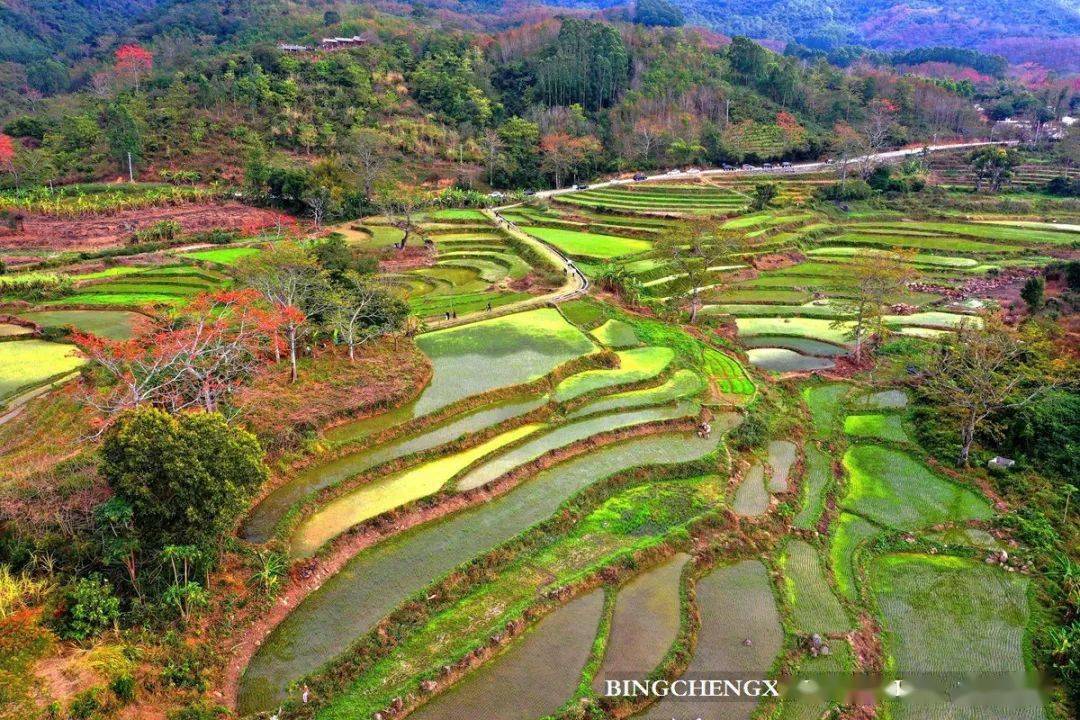 昌江宝山梯田图片