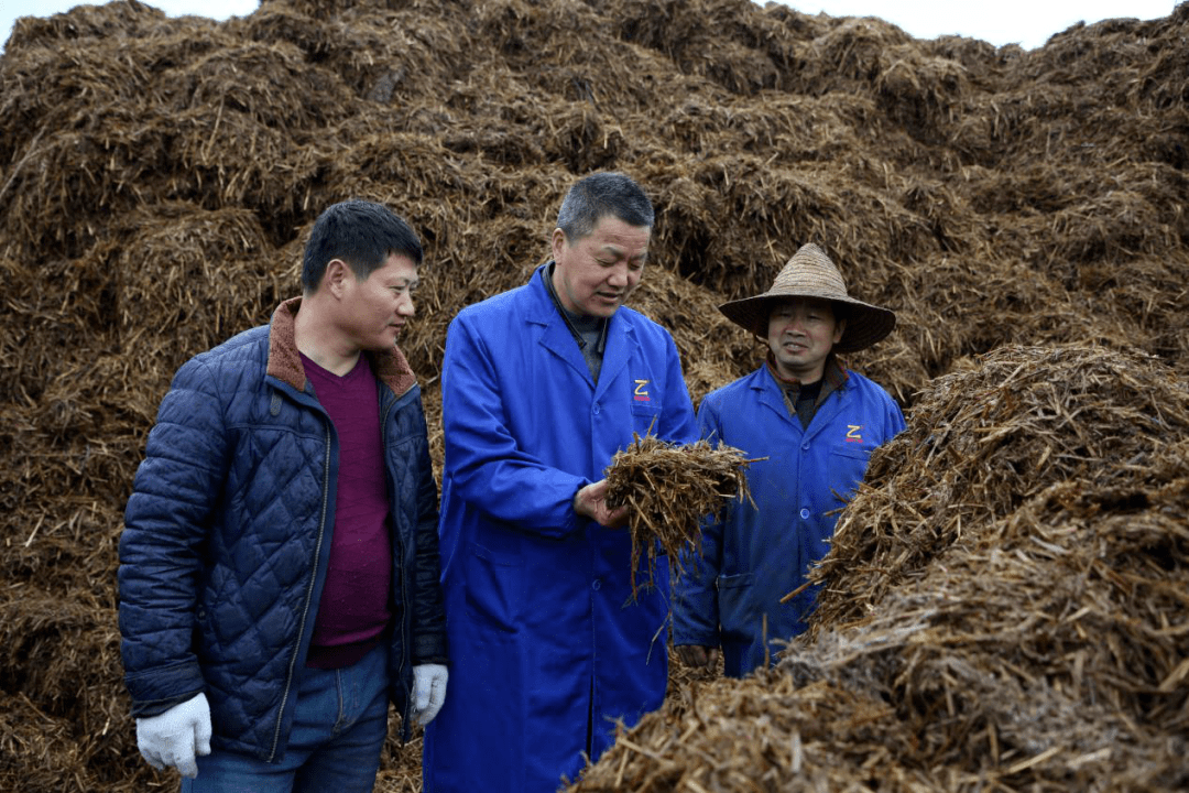 "蘑菇大王"家的团圆饭不会都是蘑菇吧?_陈林根