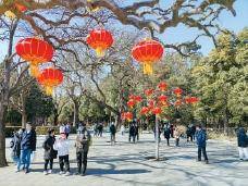 北京市预约游园人数逐日递增
