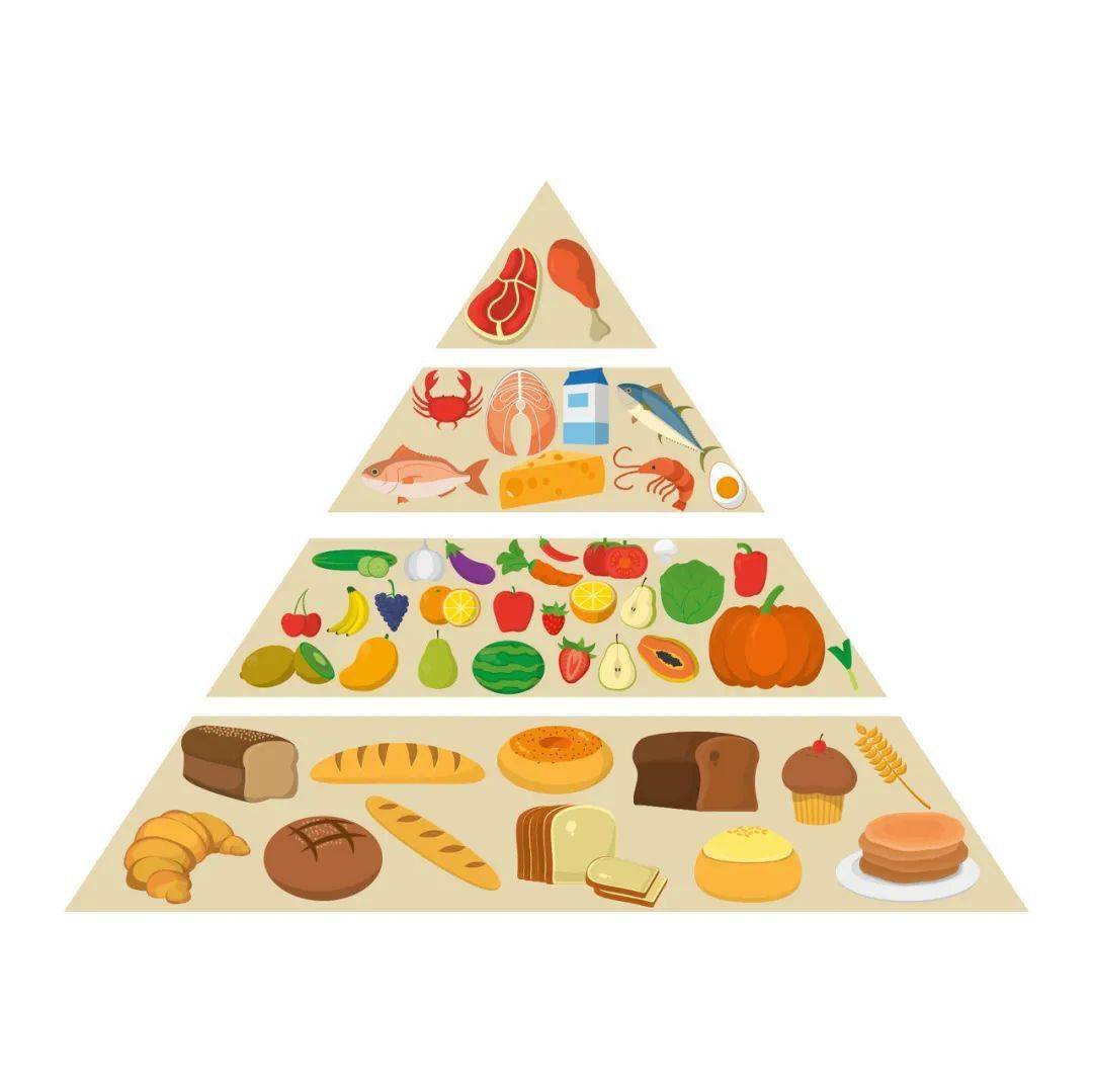健康食品金字塔简笔画图片