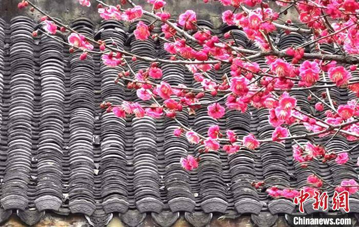 杭州：春节假期 西湖西溪景区游人如织