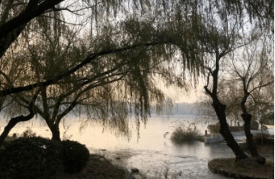 c29b46e6597f465ba19839f36ce40537.png
