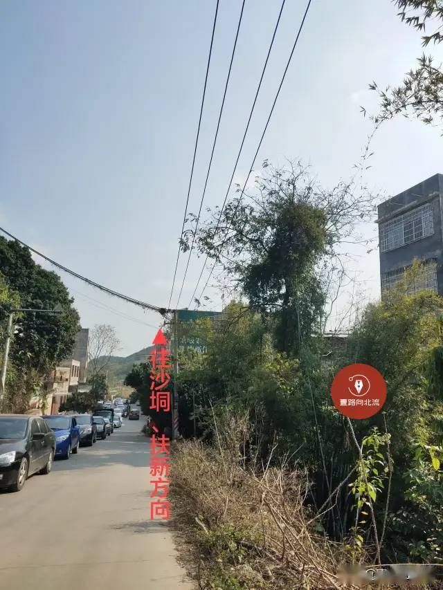 北流市沙垌镇图片