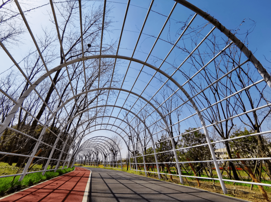 公交88路金浜路福泉路站广顺北路入口(临空音乐公园对面)交通:公交836