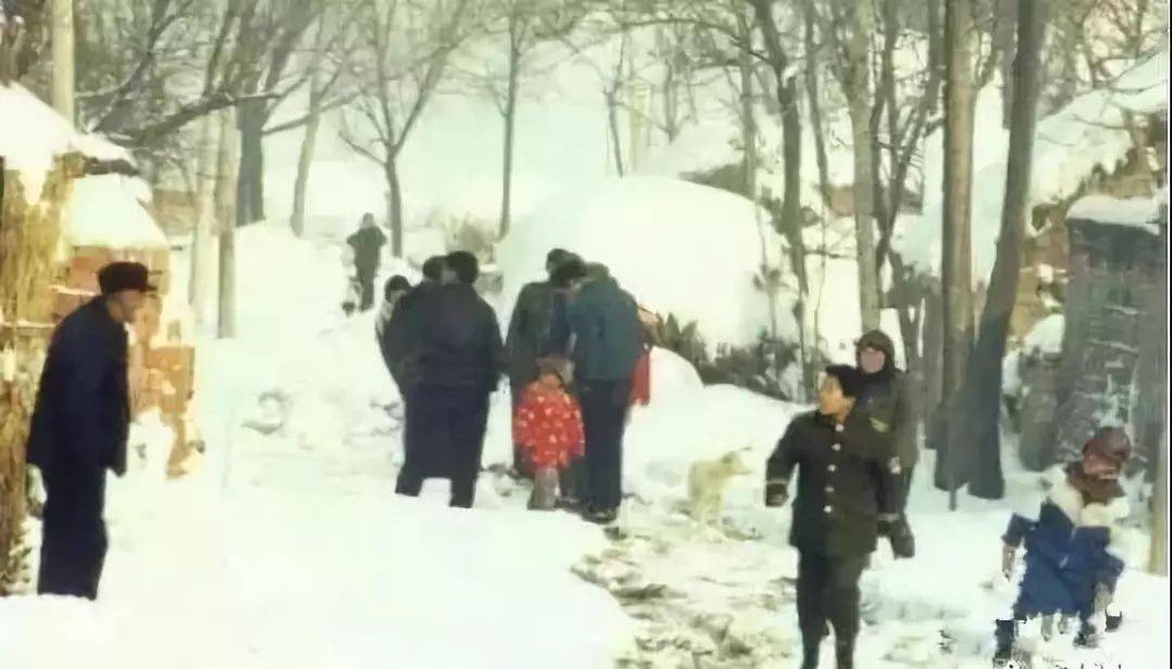 宝应多少人口_宝应高铁站(3)