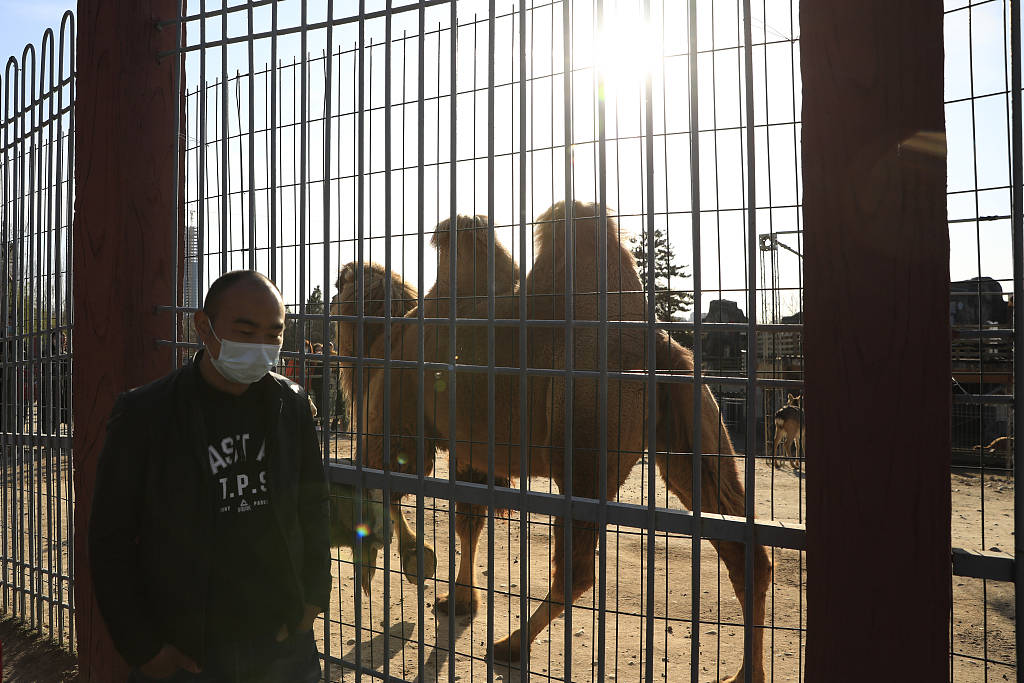 西安:探访世博园萌宠馆 动物萌态十足
